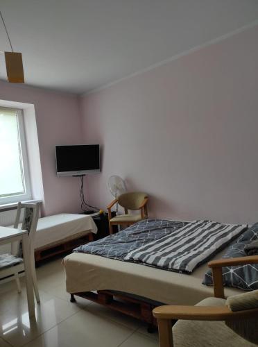 a bedroom with two beds and a tv on the wall at Agroturystyka "U Źródła" in Milicz