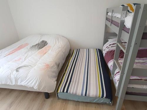 a bunk bed and a ladder next to a bunk bed at Gîte 5 personnes Dompierre sur Besbre in Dompierre-sur-Besbre