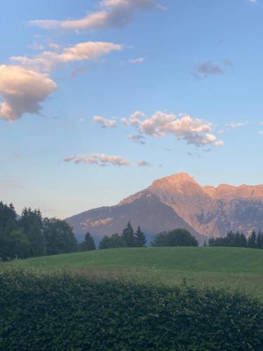 a green field with mountains in the background at Haus Waldfrieden in Bischofswiesen