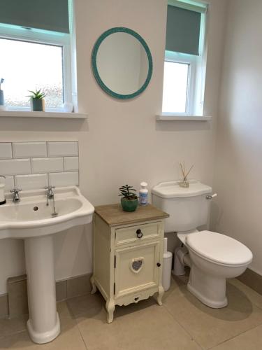 a bathroom with a sink and a toilet and a mirror at Causeway Cottage in Newcastle