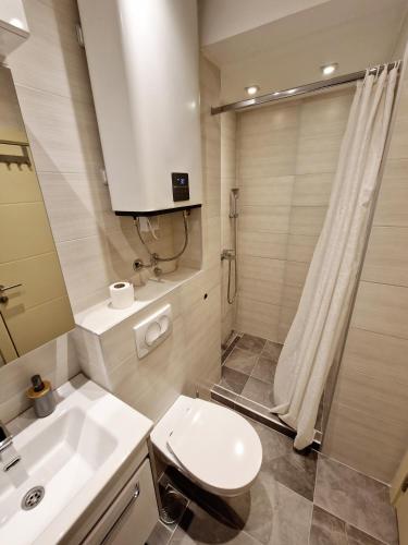 a bathroom with a toilet and a sink and a shower at Apartmani Paku in Belgrade
