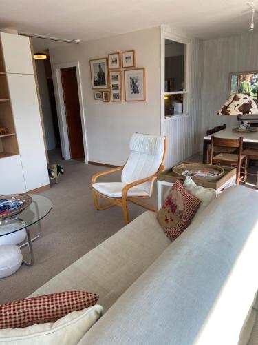 - un salon avec un canapé et une table dans l'établissement Sunny mountain view apartment in town by Jolidi, à Nendaz
