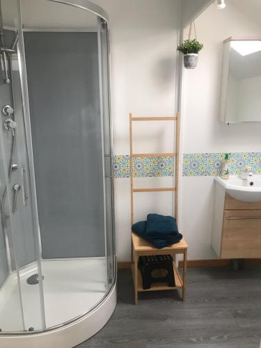une salle de bain avec douche et lavabo dans l'établissement Chambre Chez L'HABITANT en Centre Ville, à Pont-Audemer