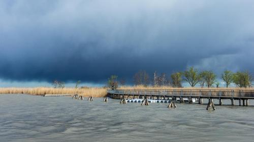 a bridge over a body of water with trees in the background at AusZeit Neusiedlersee in Mörbisch am See