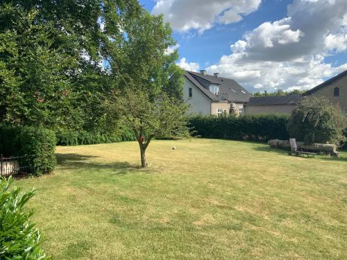 a small tree in the middle of a yard at Den Gamle Apotekergaard in Høng