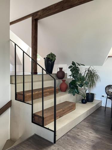 a set of stairs with potted plants on them at Kamurke - Apartamentai in Šiauliai