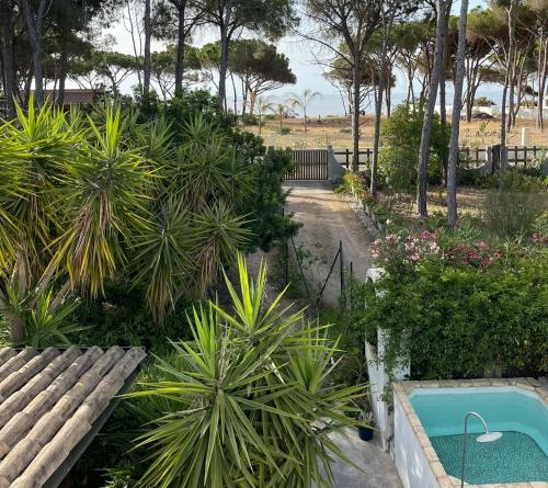 Al Mare Home