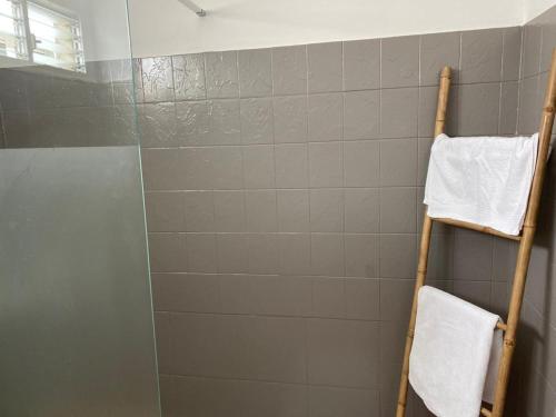 una doccia con porta in vetro e un asciugamano di Maison familiale spacieuse avec commodité a Sainte-Rose