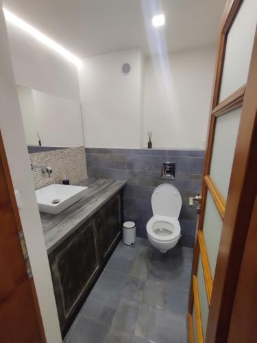 uma casa de banho com um WC e um lavatório em Domek s terasou em Doksy