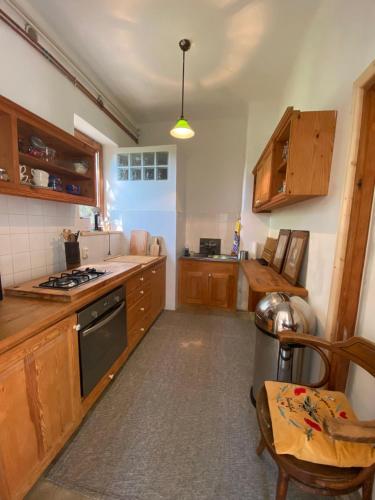 Rustic Cottage & Garden Retreat on Buda Hilltop tesisinde mutfak veya mini mutfak