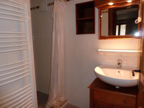 a bathroom with a sink and a shower curtain at appartement Ancolie in Saint-Martin-de-Belleville