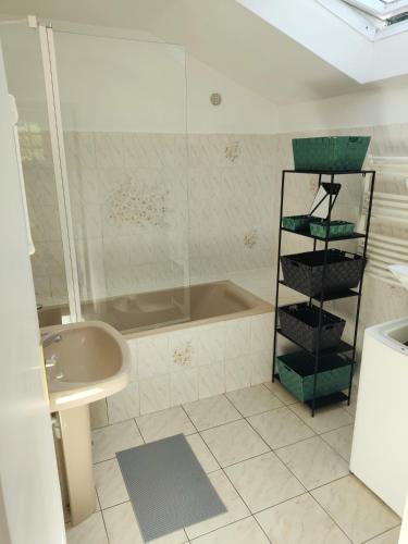 a bathroom with a shower and a sink at Les Gites de TY Dreux Monts d'arrée in Saint-Thégonnec