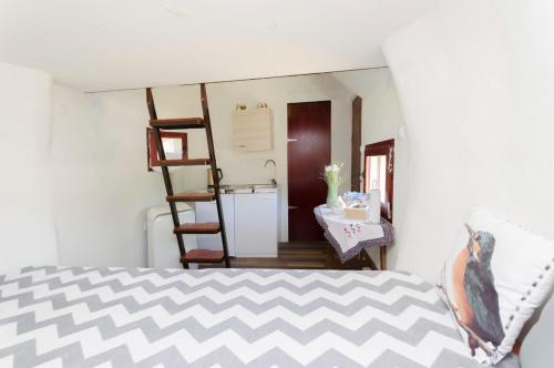 a room with a bed and a kitchen with a ladder at Krka Magic Pumpkin in Rupe