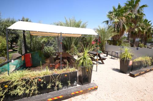 a garden with potted plants and a white canopy at Suites in the Galilee in Qiryat Shemona