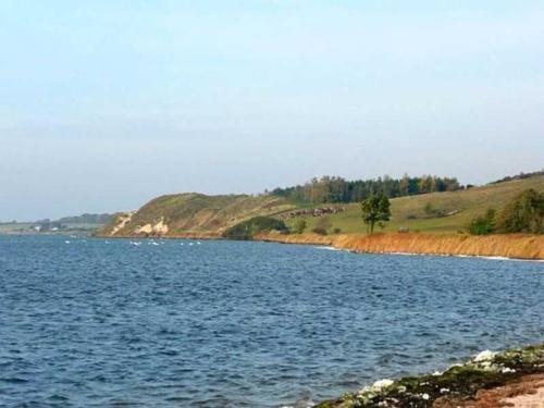 a large body of water with a tree in the middle at Ruegen_Fewo 63 in Garz-Rügen