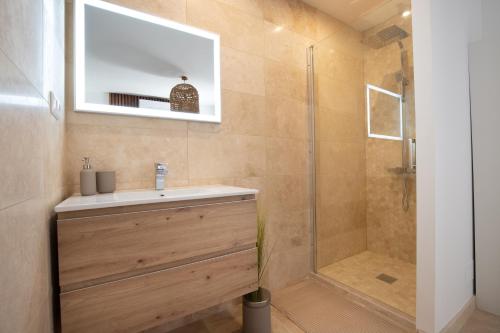 a bathroom with a sink and a shower at Au NÈGO CHIN 105m2 en bord de Sorgue in L'Isle-sur-la-Sorgue