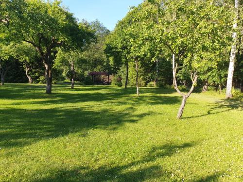 En trädgård utanför Domki w sadzie - Gościniec LECH