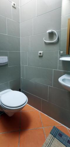 a bathroom with a toilet and a sink at Das Sofa Restaurant-Hotel-Spätkauf in Greifswald