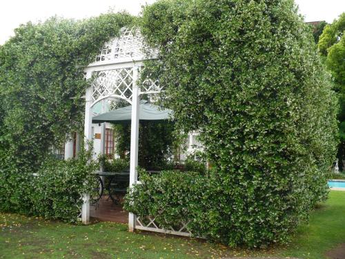 Κήπος έξω από το A Tapestry Garden Guest House