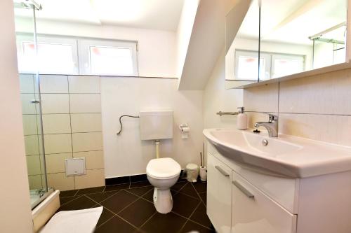 un baño con inodoro y lavabo en Apartment Anna Maria, en Rakovica