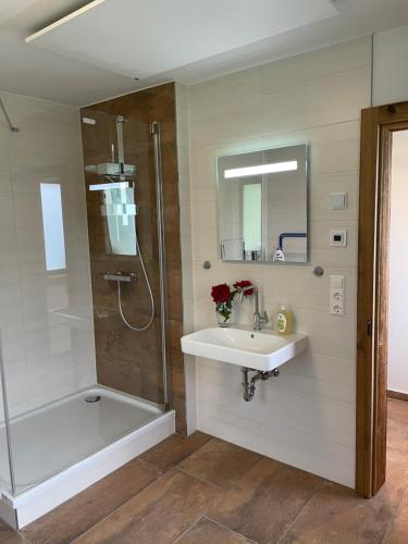 a bathroom with a sink and a shower at Landhaus Waisenegg 