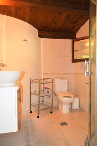 a bathroom with a toilet and a sink at Elenos Villa in Possidi