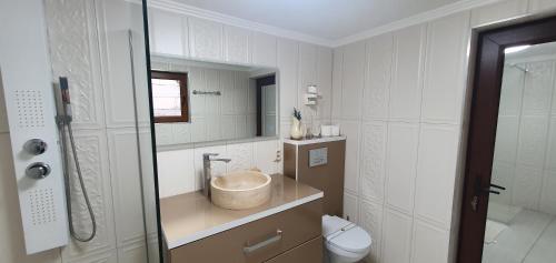 a bathroom with a sink and a toilet at Casa Mimi in Băile Herculane