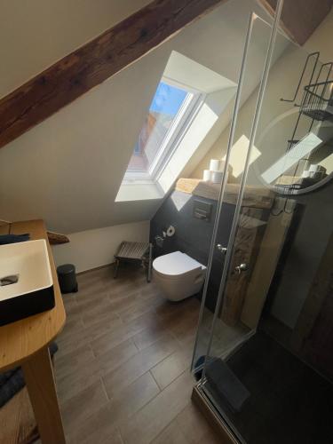 a bathroom with a toilet and a glass shower at Muggel Apartments in Alpirsbach