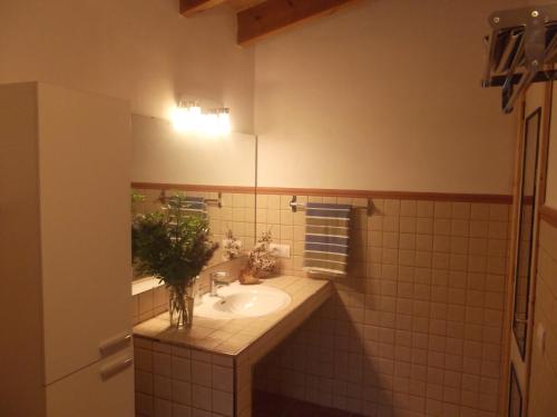 łazienka z umywalką i lustrem w obiekcie Son Garbeta w Manacorze