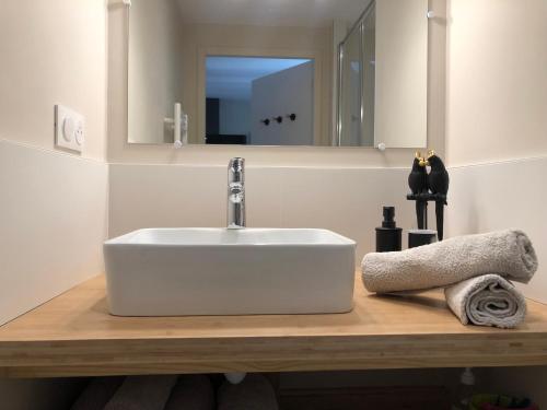 ein Badezimmer mit einem weißen Waschbecken und einem Spiegel in der Unterkunft VUE SUR REMPARTS - Coeur de Vannes- 2CH in Vannes