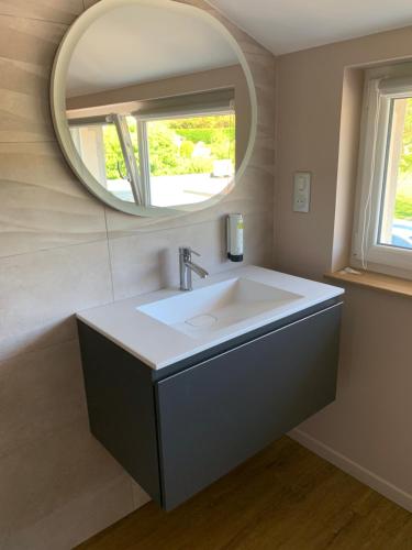La salle de bains est pourvue d'un lavabo et d'un miroir. dans l'établissement Le Relais de la Fontaine & Jacuzzi, à Montcornet