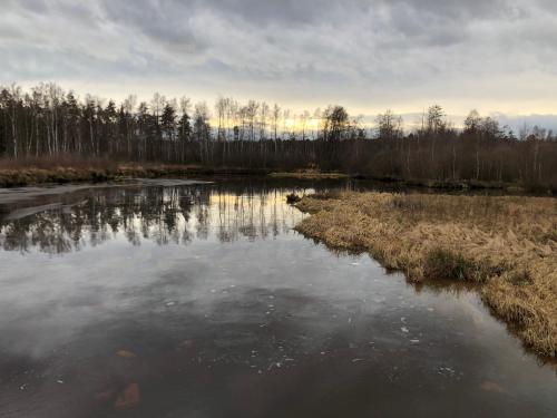 Příroda nedaleko apartmánu
