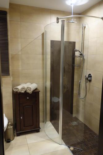 a shower with a glass door in a bathroom at Apartament Bukovy Wisła in Wisła