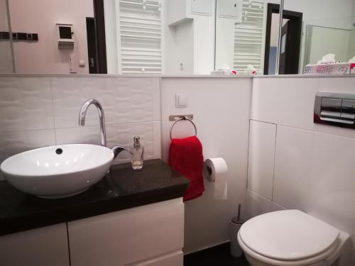 a bathroom with a sink and a toilet at Apartament Ogarna II in Gdańsk