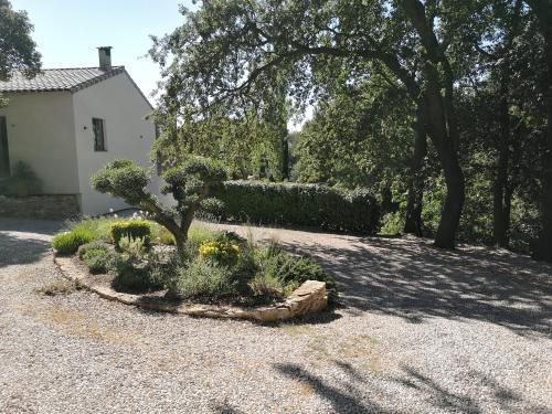 a garden with a tree in the middle of a yard at Studio au calme vue sur garlaban in Roquevaire