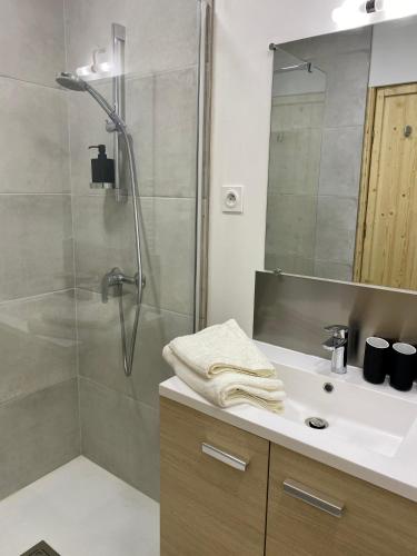 une salle de bain avec douche et lavabo dans l'établissement Charmant studio rénové et climatisé, à Bordeaux