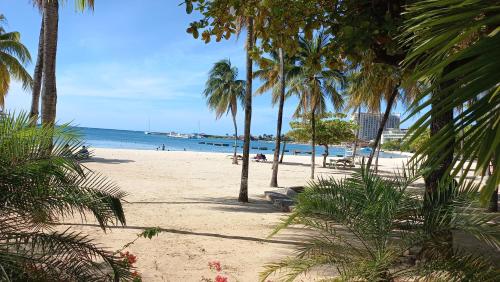 a sandy beach with palm trees and the ocean at Beach One Bedroom 2 in Ocho Rios