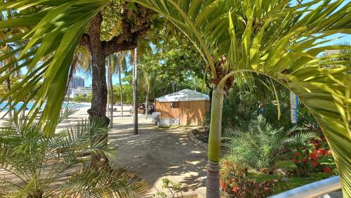 a view of a park with palm trees and a building at Beach One Bedroom 2 in Ocho Rios