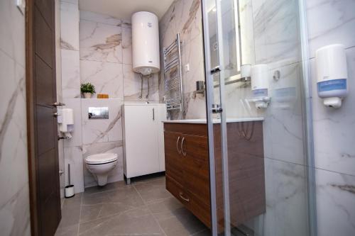 a bathroom with a sink and a toilet in it at Titova Vila Zlatibor in Zlatibor