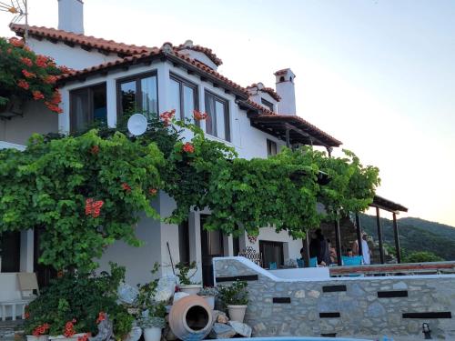 Villa Erifili