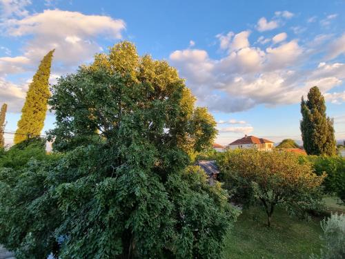 a tree in the middle of a yard with trees at Home Mia Airport in Podgorica