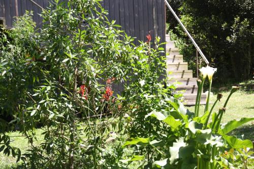 a garden with a stairway with flowers and plants at Posada IRSIS in La Pedrera