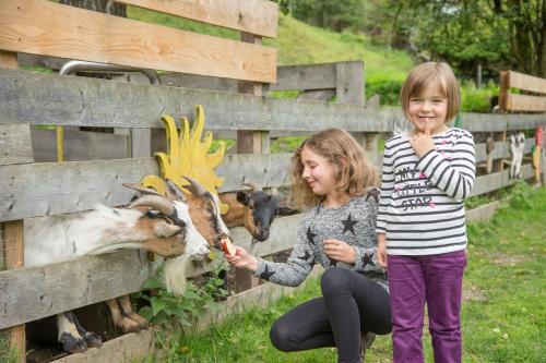 two young girls feeding a carrot to a goat at Hotel Stadt Wien in Zell am See