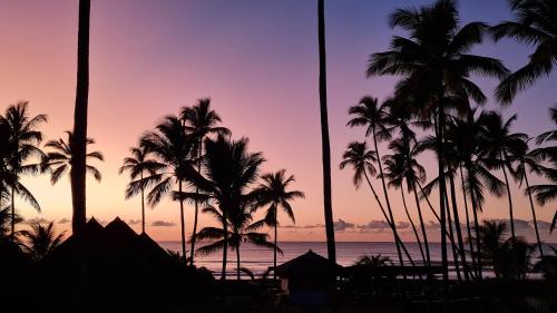 a group of palm trees on the beach at sunset at Aldeia Setemares Bangalôs - Praia do Sargi - Serra Grande in Serra Grande