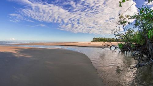 an empty beach with trees and a cloudy sky at Aldeia Setemares Bangalôs - Praia do Sargi - Serra Grande in Serra Grande