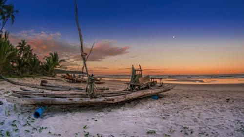 a group of boats sitting on a beach at Aldeia Setemares Bangalôs - Praia do Sargi - Serra Grande in Serra Grande