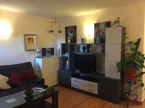 uma sala de estar com um sofá e uma televisão em Gayfriendly 2 bedrooms apartment, pet friendly em Torremolinos