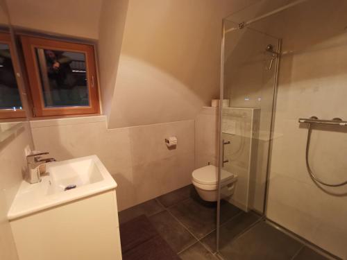 a bathroom with a shower and a toilet and a sink at Ferienhaus Grabenhansl in Stubenberg