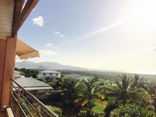 una vista dal balcone di una casa con palme di Grand Appartement De Standing, Magnifique Vue Mer a Ducos