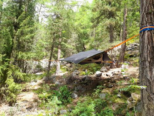 a tent hanging on a rope in a forest at Baumzelte Robis Waldspielpark in Grächen